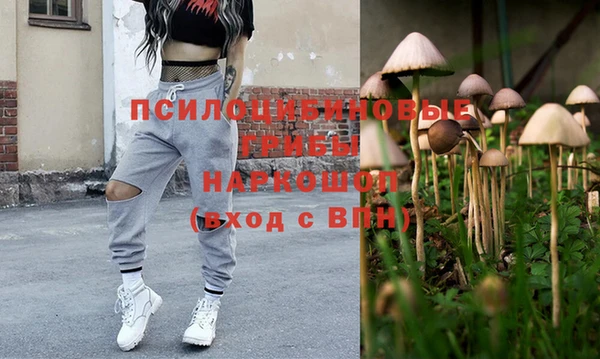 mix Осинники