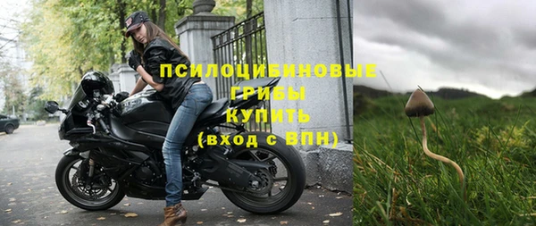 apvp Няндома