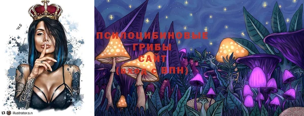 mix Осинники