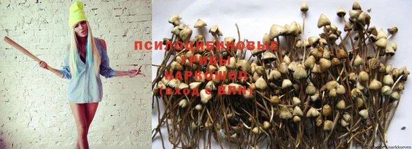 марихуана Осташков